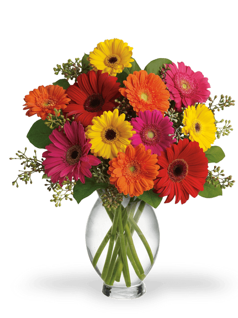 Bouquet di gerbere colorate 1