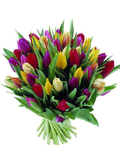 Bouquet di tulipani pastello