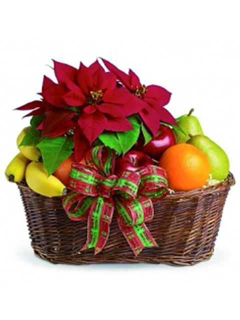 Stella di natale e cesto di frutta