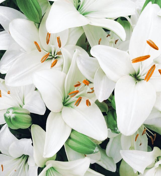 anniversario di fidanzamento