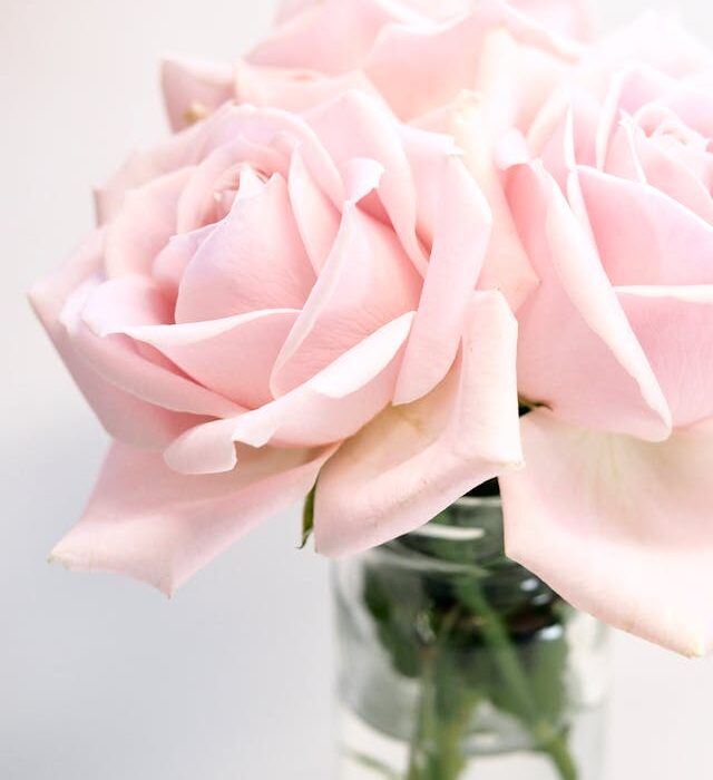 bouquet di rose quante regalare