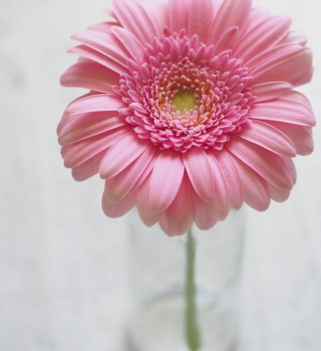 fiori recisi e idee regalo