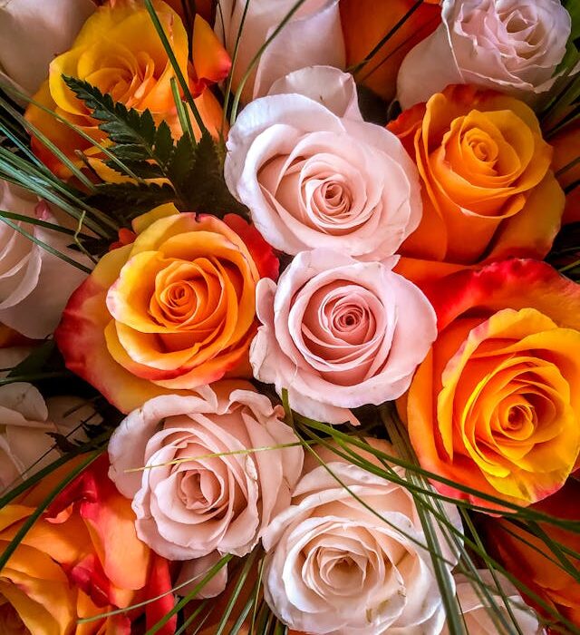 quali sono i fiori perfetti per la festa del papà