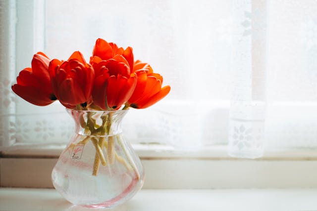 i tulipani i fiori perfetti